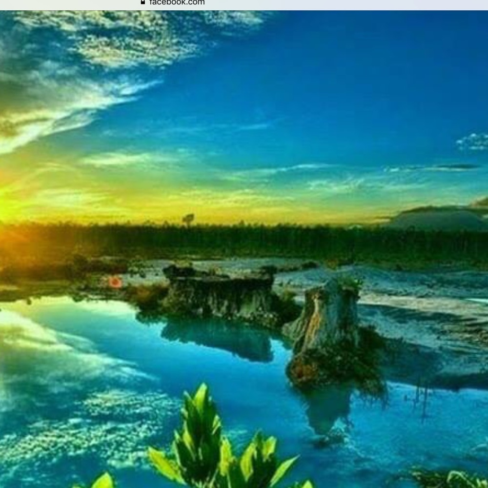 Meet your Posher, Marcus